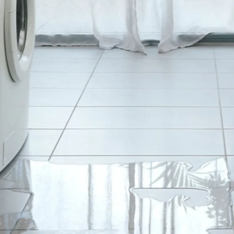 Appliance Leak Cleanup in Riesel, TX