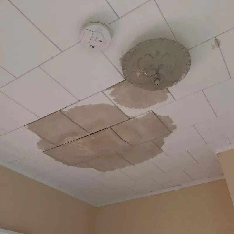 Ceiling Water Damage Repair in Riesel, TX