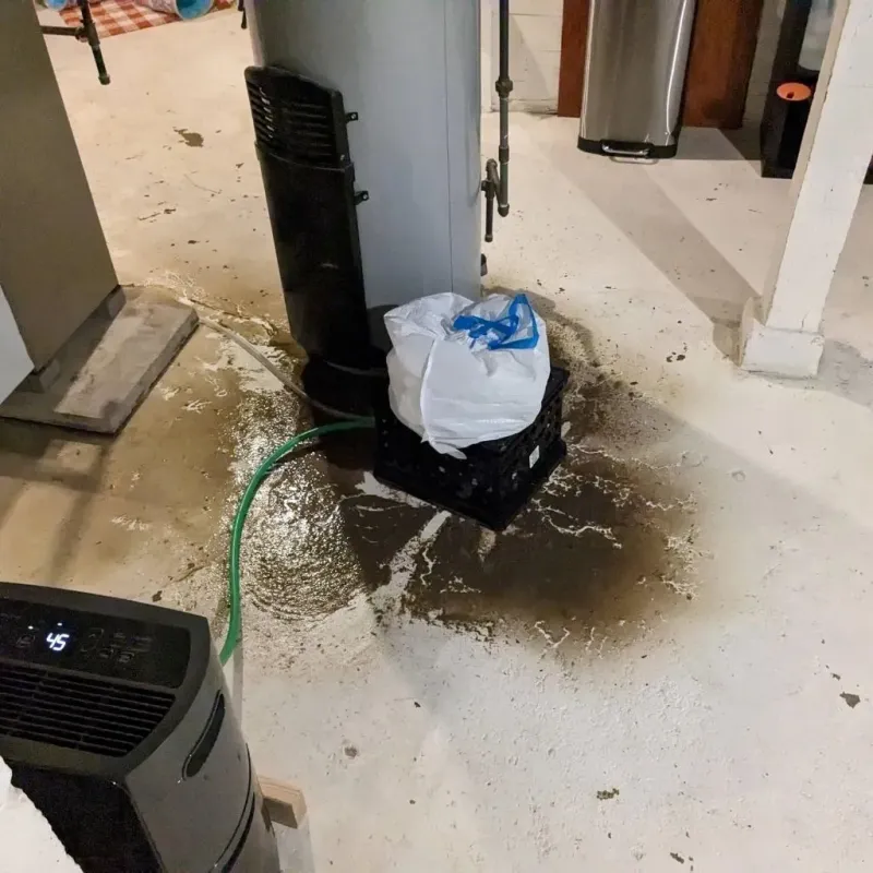 Sewage Backup Cleanup Service in Riesel, TX
